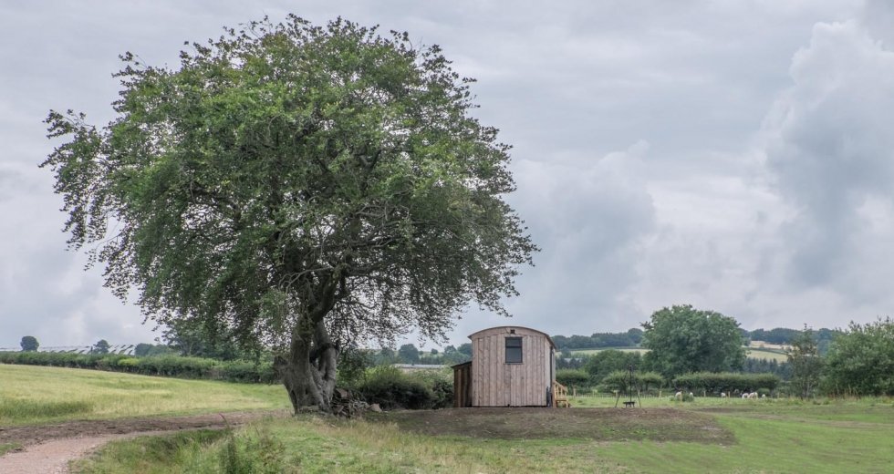 Glamping holidays in Monmouthshire, South Wales - Sheep Pen Glamping